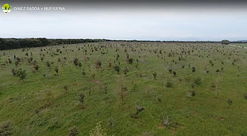 Oinez Basoa NUP eta NIE lankidetzan