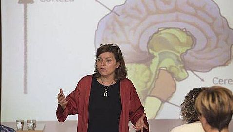 La nutricin y el sueo son claves para el desarrollo cerebral, sobre todo, en las primeras etapas del menor