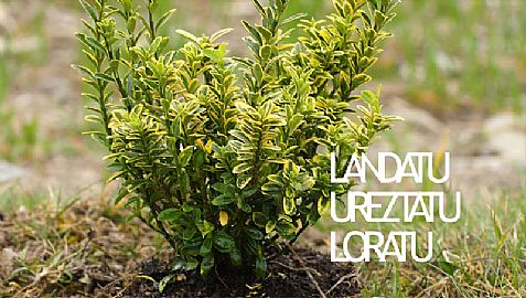 LANDATU, UREZTATU, LORATU DOKUMENTALA
