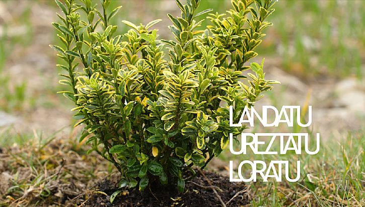 LANDATU, UREZTATU, LORATU DOKUMENTALA