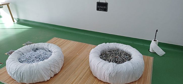 0-3 etapa: haurraren urrezko aroa