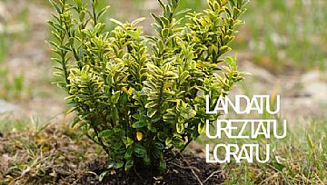 LANDATU, UREZTATU, LORATU DOKUMENTALA