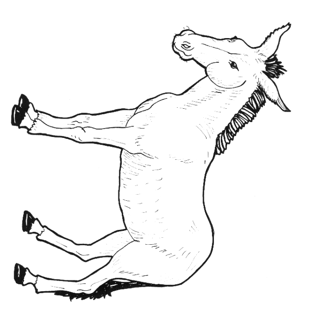 astotxoa.gif (26875 bytes)